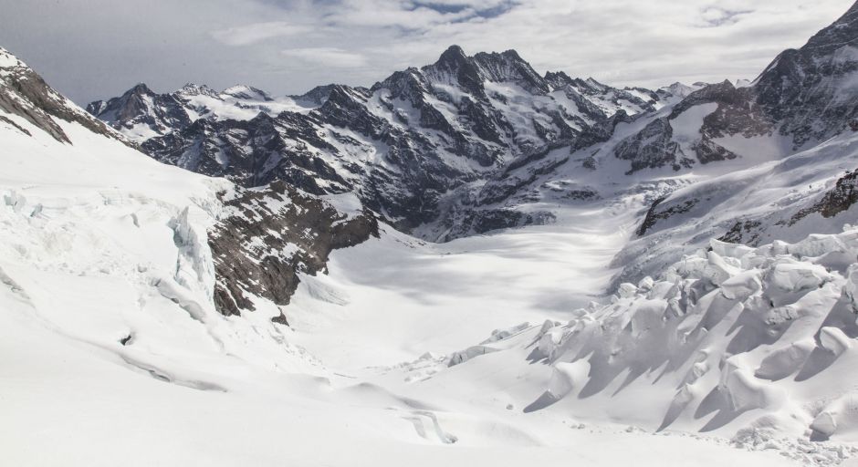 Our company Our company